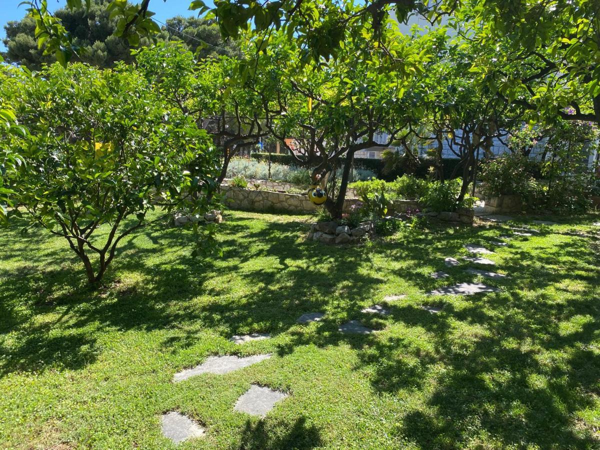 Appartement Terrace Hvar Town