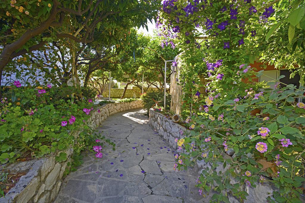 Appartement Terrace